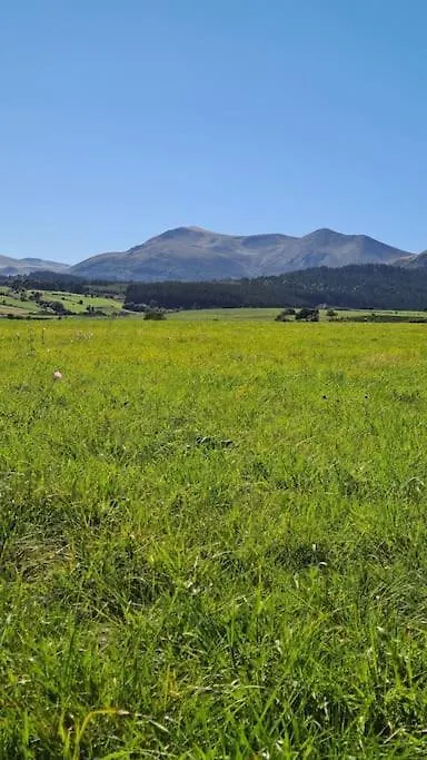 Maison Dans Le Sancy Le Vernet-Sainte-Marguerite Holiday home
